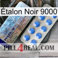 Étalon Noir 9000 39